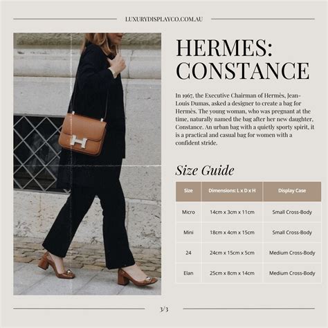 hermes constance 24 organizer|Bag Organizer for Hermes Constance 1.